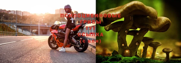 круглые Покачи