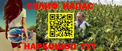 мдпв Гусев
