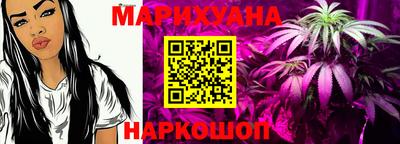мдпв Гусев