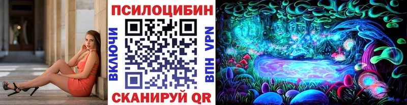 Псилоцибиновые грибы Magic Shrooms  Петрозаводск 