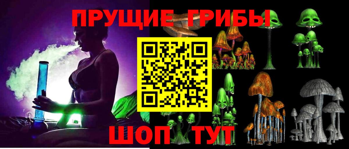 Псилоцибиновые грибы Psilocybe  Вход с VPN  Петрозаводск  Галлюциногенные грибы мухоморы 