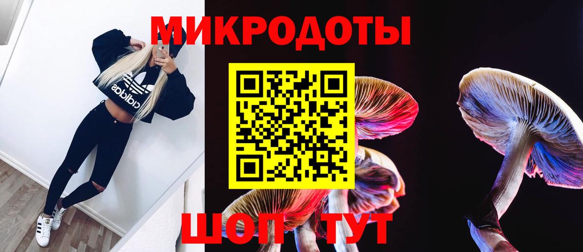 Псилоцибиновые грибы мухоморы Петрозаводск